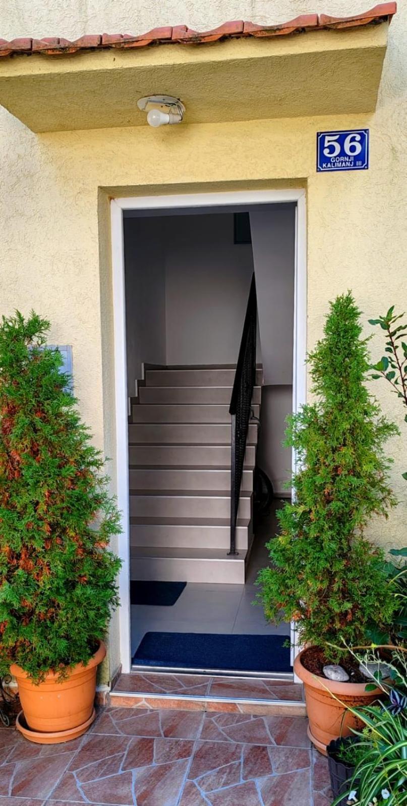 Vesic Daire